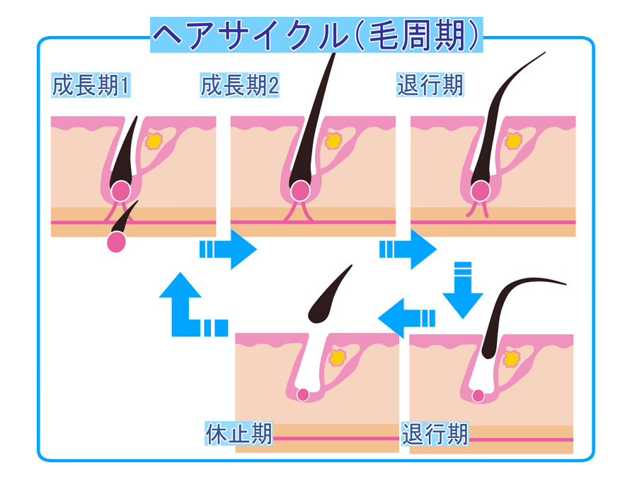 AGA・薄毛・発毛専門サロン「発毛ラボ和歌山」へ！