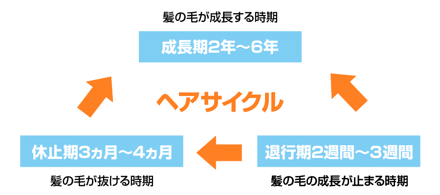 AGA・薄毛・発毛専門サロン「発毛ラボ和歌山」へ！