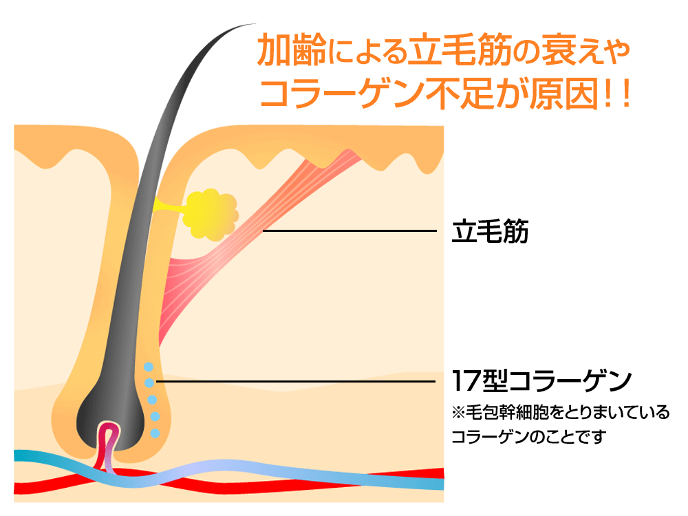 AGA・薄毛・発毛専門サロン「発毛ラボ和歌山」へ！