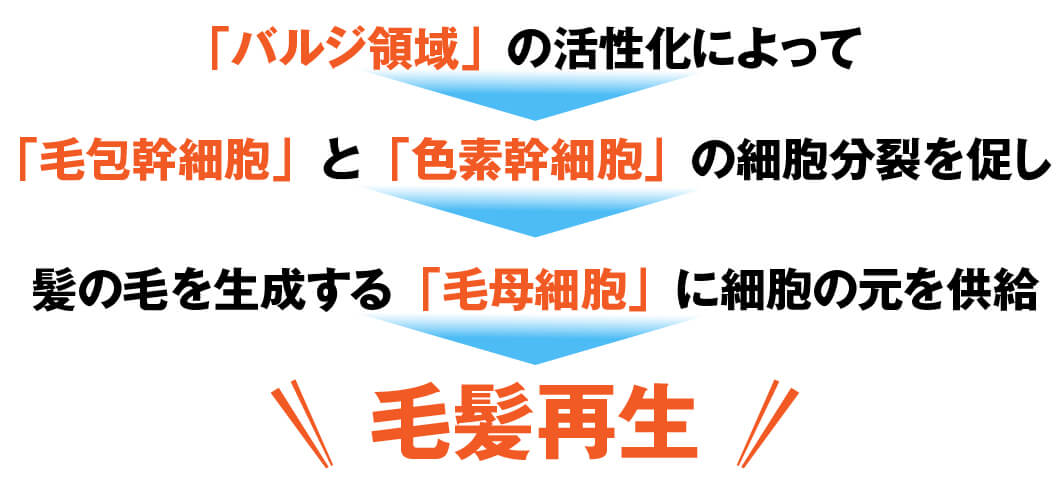 AGA・薄毛・発毛専門サロン「発毛ラボ和歌山」へ！