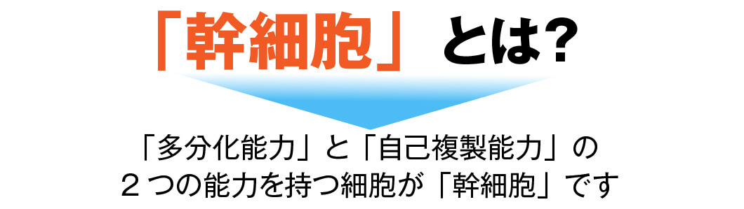 AGA・薄毛・発毛専門サロン「発毛ラボ和歌山」へ！