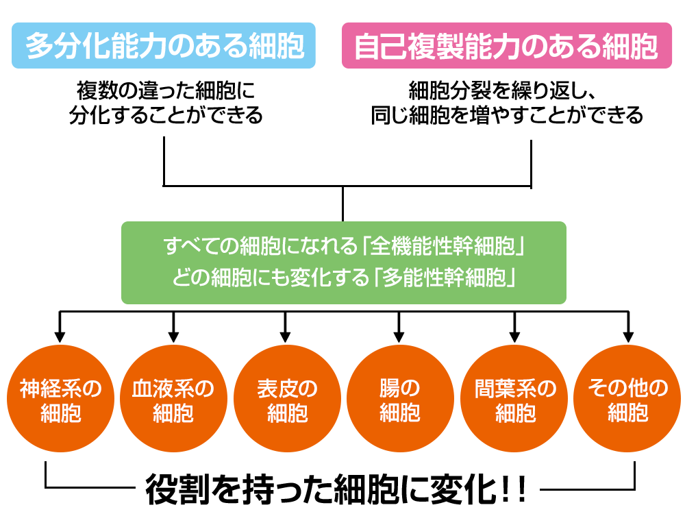 AGA・薄毛・発毛専門サロン「発毛ラボ和歌山」へ！