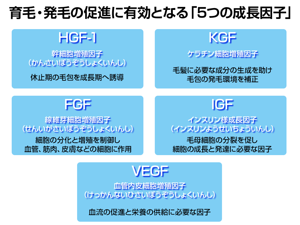 AGA・薄毛・発毛専門サロン「発毛ラボ和歌山」へ！