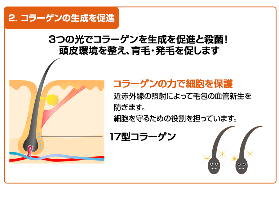 「発毛ラボ和歌山」へ！