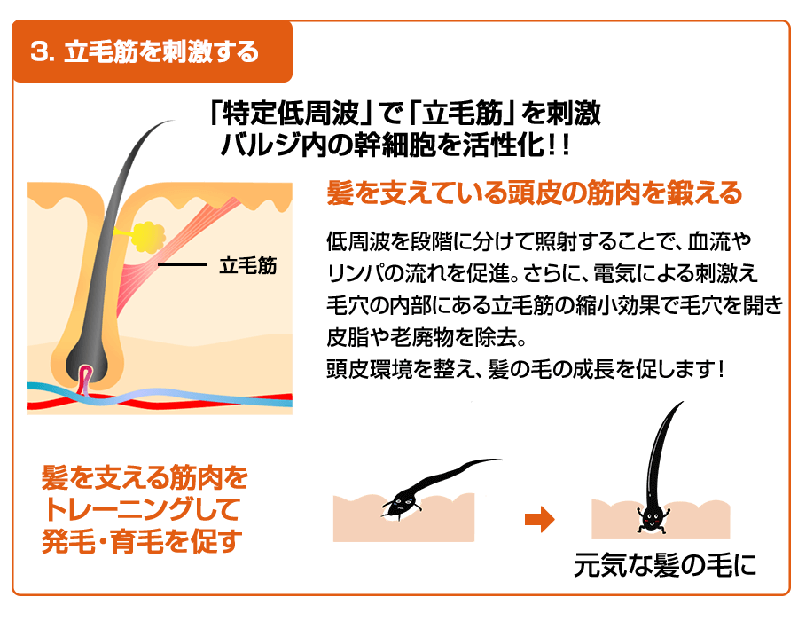 「発毛ラボ和歌山」へ！